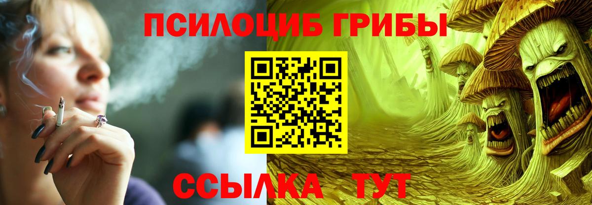 Псилоцибиновые грибы Cubensis  Галлюциногенные грибы мицелий  Краснодар  Вход с VPN 
